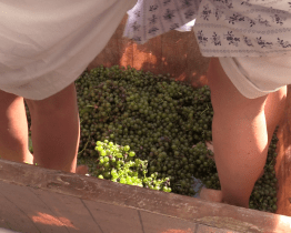 Děvčata šlapala hrozny vlastníma nohama