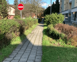 Zastupitelé projednávali podobu revitalizace Rybníků