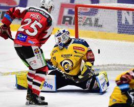 Poslední Berani prohráli podesáté v sezoně, v Pardubicích je hattrickem skolil Musil 