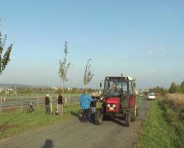 Účastníci akce Sázíme budoucnost vysadili přes půl stovky lip a javorů