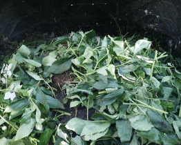 Zahrádkáři mají šanci získat kompostér