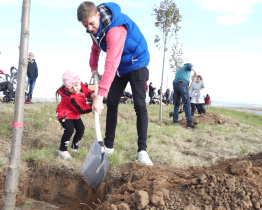 Rodiče sázeli Stromy života