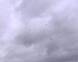 Modeláři mají nové letiště