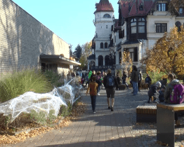 Halloween slavili i ve zlínské zoo