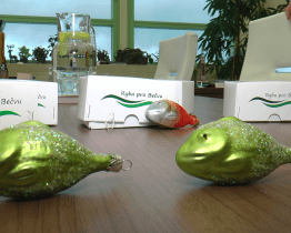 Vánoční ozdoby pomohou vrátit život do řeky Bečvy