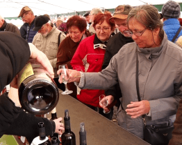 Kyjovští vinaři otevřeli svatomartinská vína