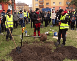 Při komunitní výsadbě po tornádu zasadili lidé 72 nových stromů