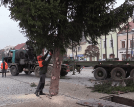 Vánoční strom už je na Masarykově náměstí