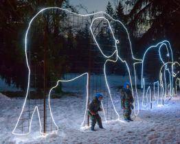 Zlínská zoo láká vánoční atmosférou