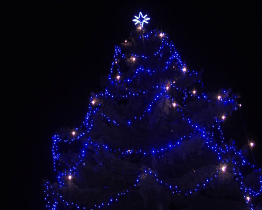 Rozsvícení vánočního stromu bylo opět bez lidí