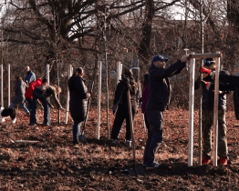U Moravy vysadili ovocný sad