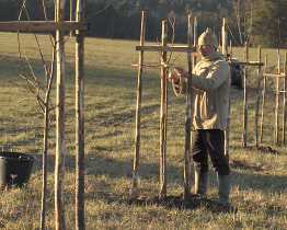 Ve městě a v Hrádku na Vlárské dráze přibude přes 330 stromů 