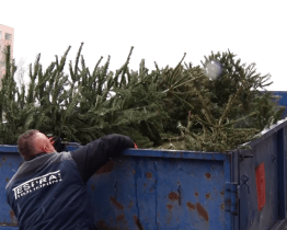 Stromky poslouží jako zdroj energie