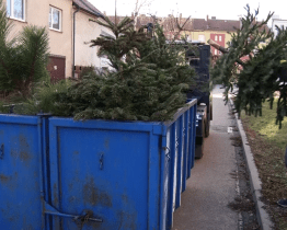 Ve městě probíhá svoz vánočních stromků