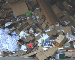 Technické služby vytřídily 1000 tun odpadu