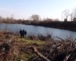 Slunečné dopoledne využili zájemci k tomu, aby pomohli dočistit oblíbenou lokalitu kolem Lužáku