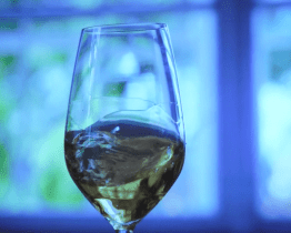 Předpremiéra nového dílu Putování s Chardonnay