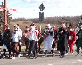 Vésky už mají po fašanku