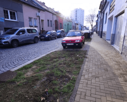 Město vysadí nové stromy ve dvou ulicích