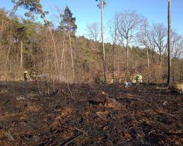 Další vypalování trávy a další požár. Pro popáleného seniora musel přiletět vrtulník