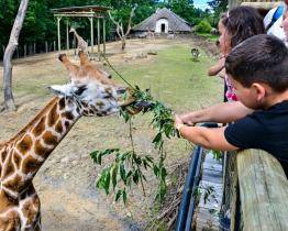 Zlínská zoo rozjíždí projekt na podporu zvířat v ukrajinských zoologických zahradách