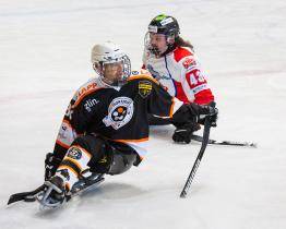 Sledge hokejisty Zlína čeká na závěr sezony dvojzápas o bronz s Pardubicemi 