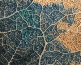 Veronika Nováková vystavuje soubor abstraktních obrazů