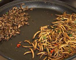 Gastro Brod Festival láká na gurmánské i kulturní zážitky už popáté