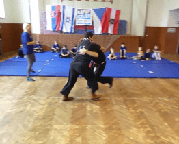 Na kurzy sebeobrany žáků poskytne kraj více než milion