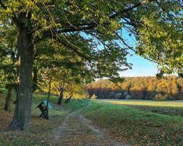 Výšlap do Chřibů, otvírání vody nebo Májová pouť. Víkend v Otrokovicích bude pořádně nabitý!
