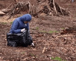 Z lesa zmizely plechy i skelná vata