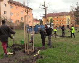Obyvatelé Bažantnice znovu sázeli stromy