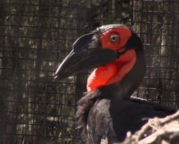 Zlínská zoo otevřela nové expozice