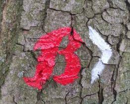 Vydejte se po stopách firmy Baťa! V Otrokovicích otevřeli novou turistickou stezku