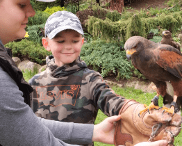 Májové Buchlování nabídlo zábavu i gurmánské zážitky