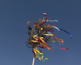 Školáci z Havřic uspořádali zahradní slavnost se stavěním máje