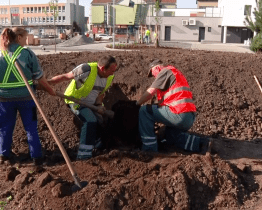 Během jara přibyla ve městě spousta zeleně