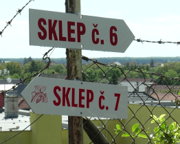 Derflanští vinaři otevřou sklepy, nebojí se jít s vínem na zahradu