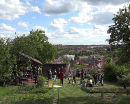 Vinaři v Sadech otevřeli své sklepy