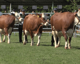 Pět tisíc lidí navštívilo 13. ročník Zemědělské výstavy  