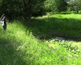 Na Boršovských loukách vyrostla naučná stezka