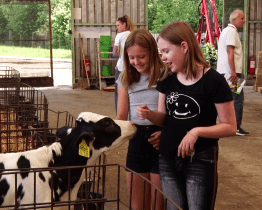 Dny českého zemědělství přilákaly do Dolního Němčí dospělé i děti