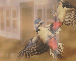 Vernisáž výstavy Týká se to také tebe představila vítěze soutěže