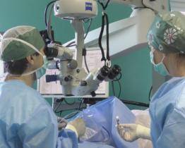 Ve Zlíně otevřeli čtvrtou oční tkáňovou banku v ČR. Má urychlit transplantace rohovek, na které se čeká až rok