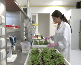 Vědci z Baťovy univerzity vyvinuli hydrogely ze syrovátky