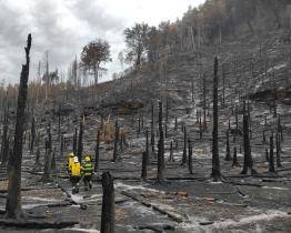 Hasiči Zlínského kraje v Hřensku: Děkujeme všem za neutuchající podporu!