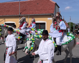 Kunovickou Jízdu králů letos navštívil i japonský velvyslanec