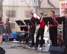 Bartolomějské slavnosti doprovodí předání ceny města