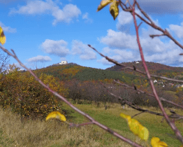 Mikroregion Buchlov vyhlašuje videosoutěž