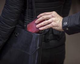 Na chovatelských trzích v Kroměříži řádil kapsář